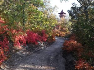 Balatongyörök, Bél Mátyás-kilátó ősszel