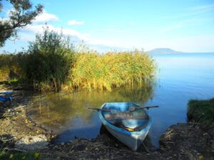 Balatoni horgászok Balatongyörökön a Soós-öbölben