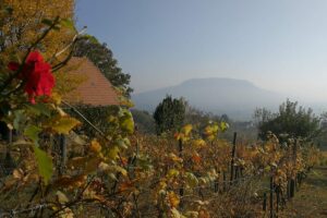 Ősz a Balatonnál, a Szent György-hegyen